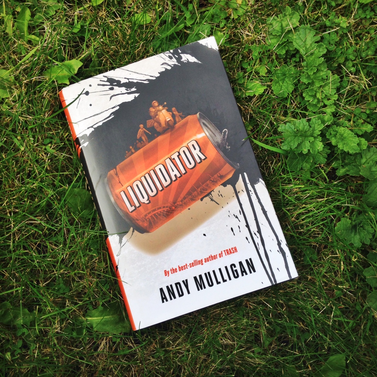 Liquidator by Andy Mulligan Review (No Spoilers)